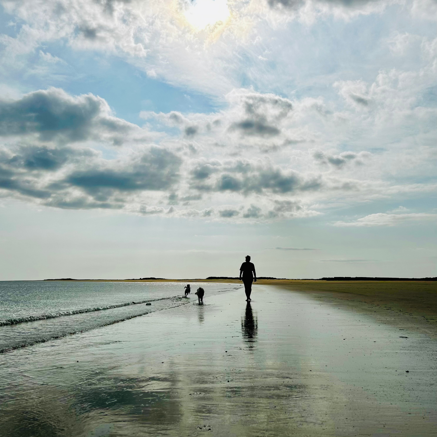 Wild swimmer and Waves and Wild Water owner, Claire, walk the beach in South Wales with her dogs.
